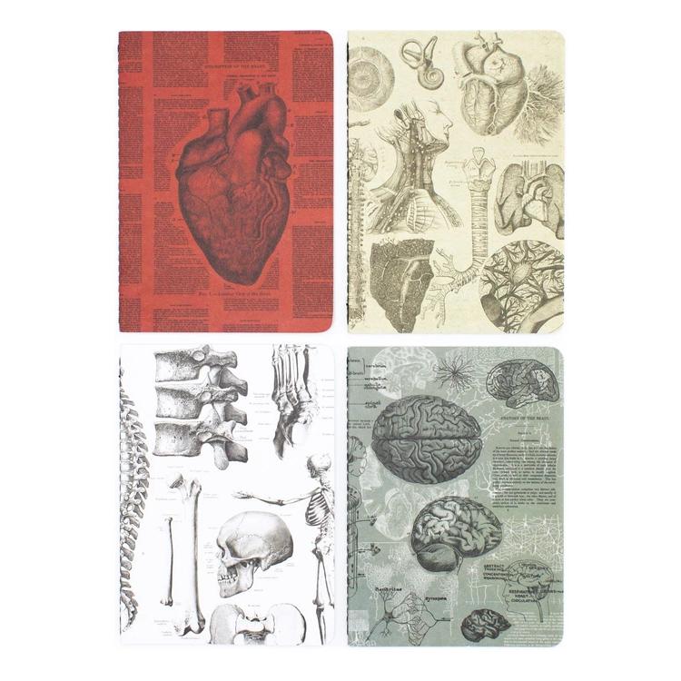 Pocket notebook set anatomy - Fairy Positron