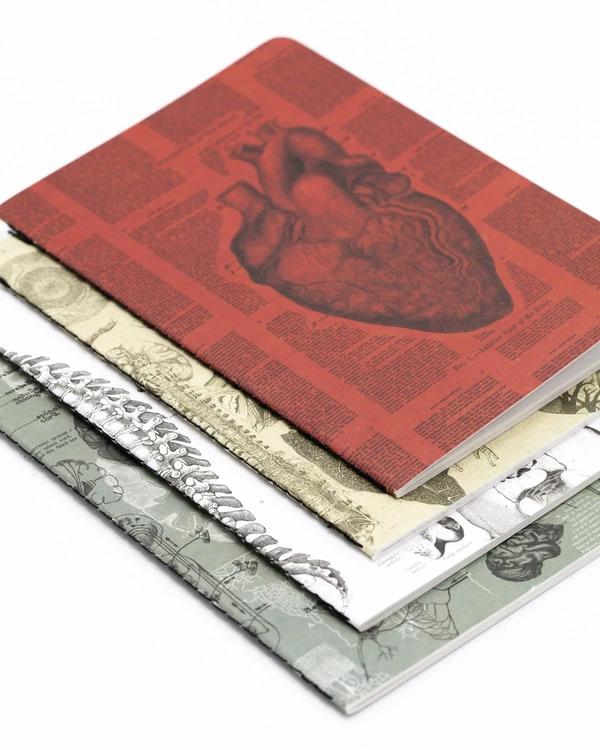 Pocket notebook set anatomy - Fairy Positron