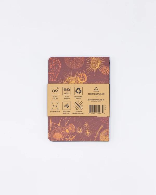 Set of pocket notebooks lab - Fairy Positron