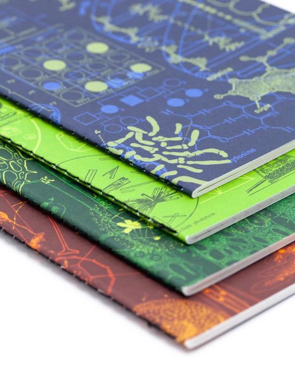 Set of pocket notebooks lab - Fairy Positron