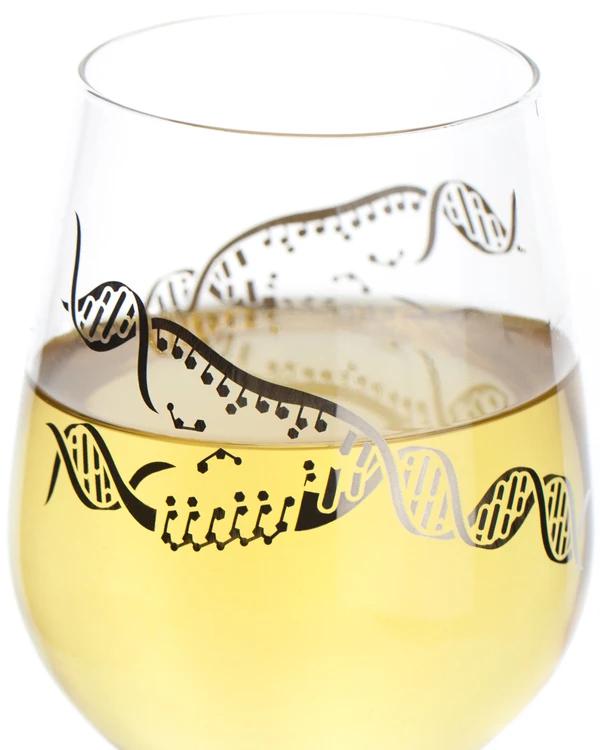 Wijnglas DNA-replicatie - Fairy Positron