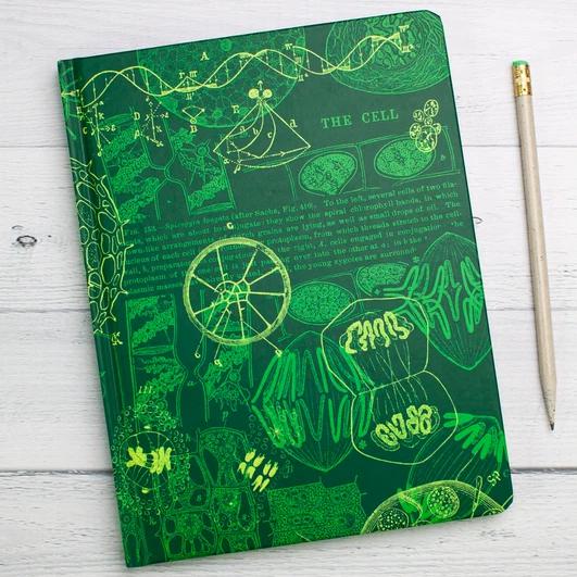 Hardcover notebooks - The Hypothesis (>A5)