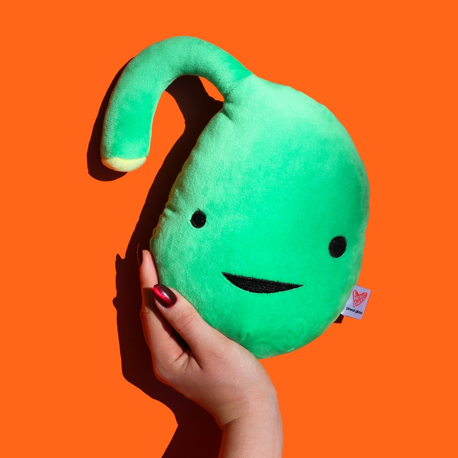 Knuffel epifyse - Sleep On It