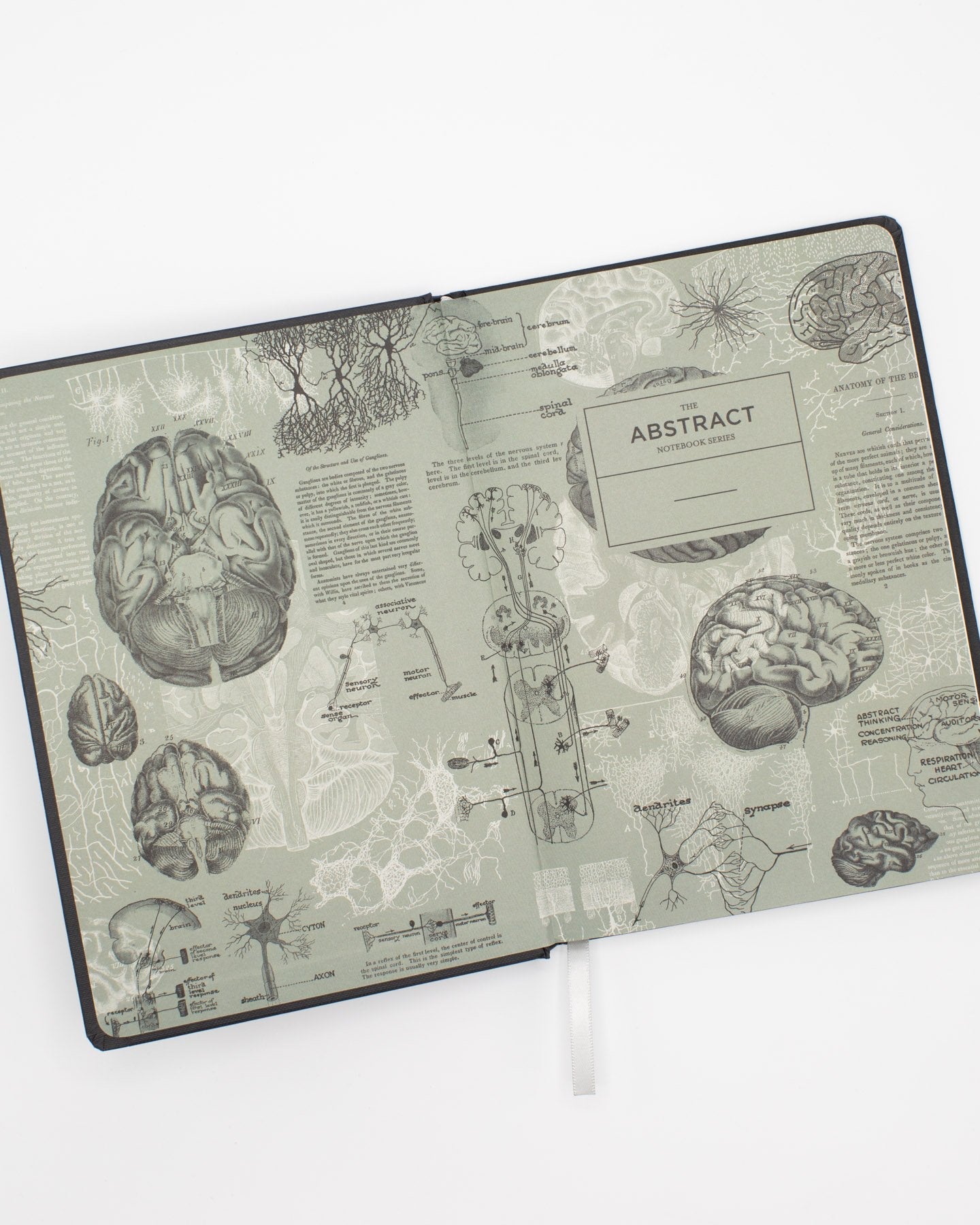 Notebook brain (A5/dotted lines)