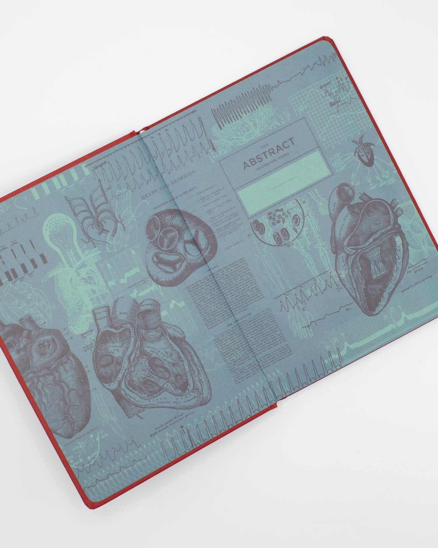 Notitieboekje anatomisch hart (A5/dotted lines)
