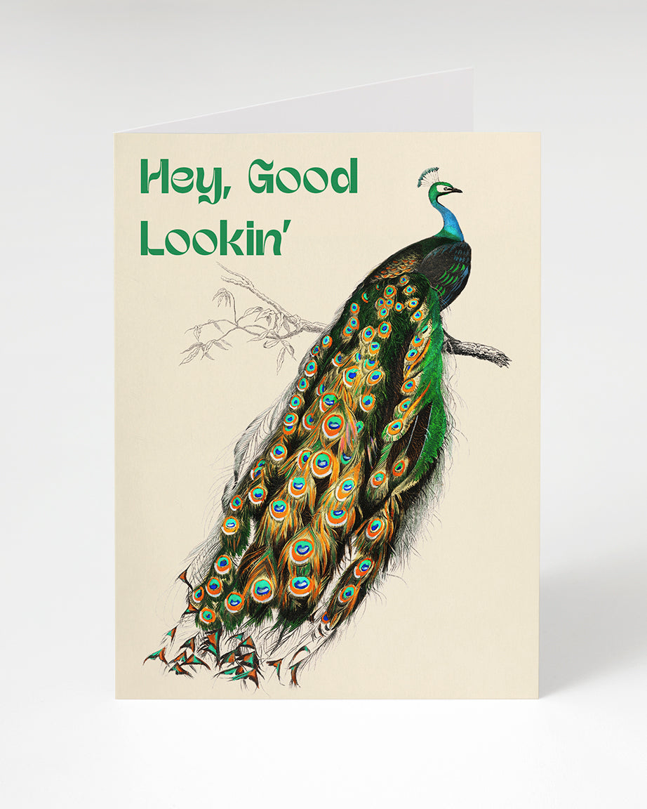 Greeting card peacock "Hey, good lookin'"