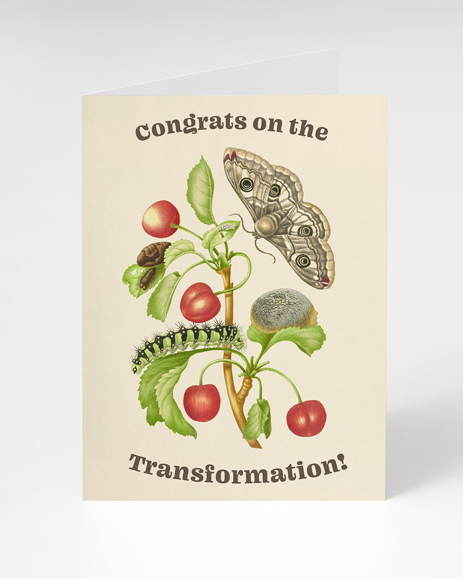 Greeting card metamorphosis "Congrats on the transformation"