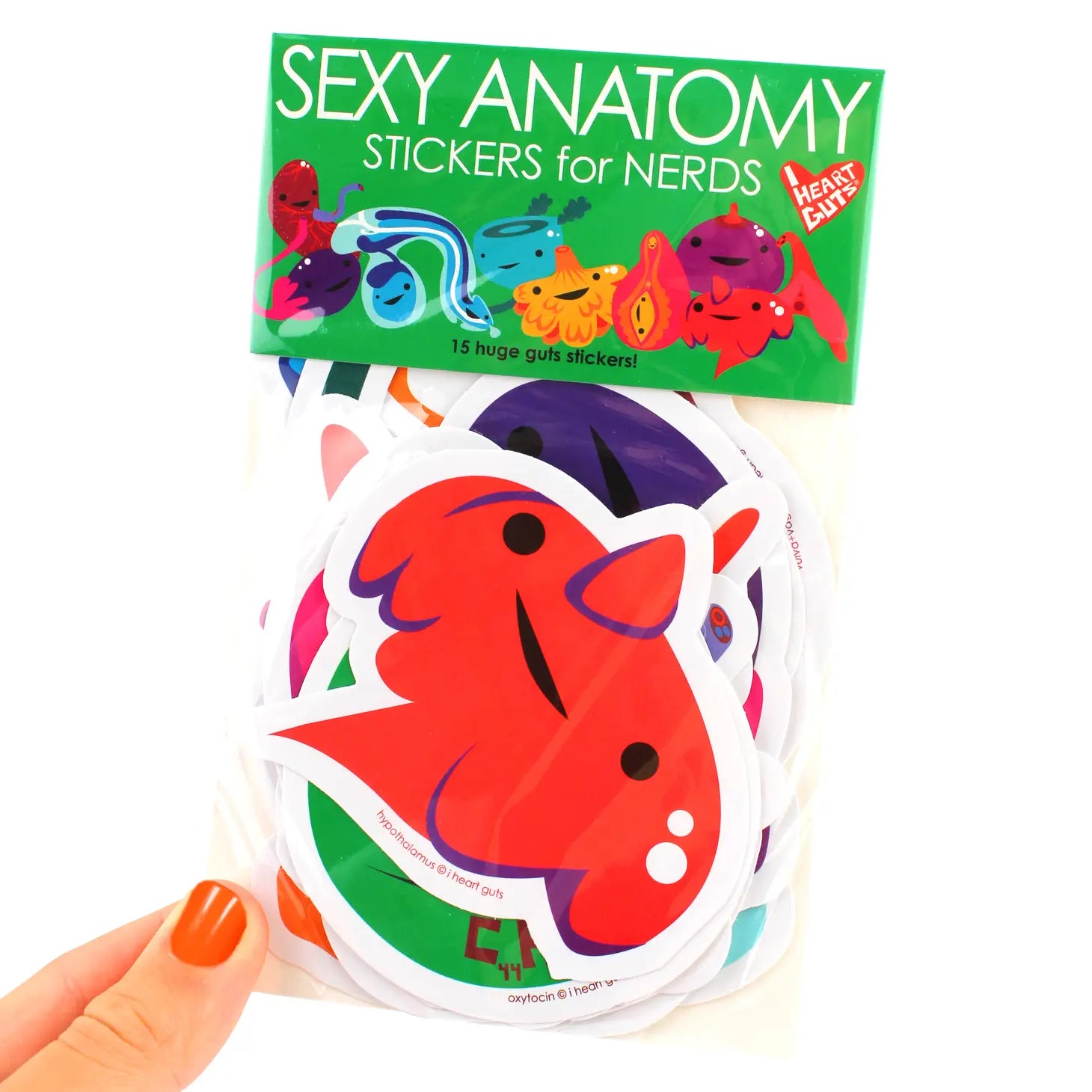 Ensemble d’autocollants d’anatomie sexy