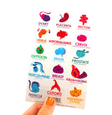 Sexy Anatomy Stickerset