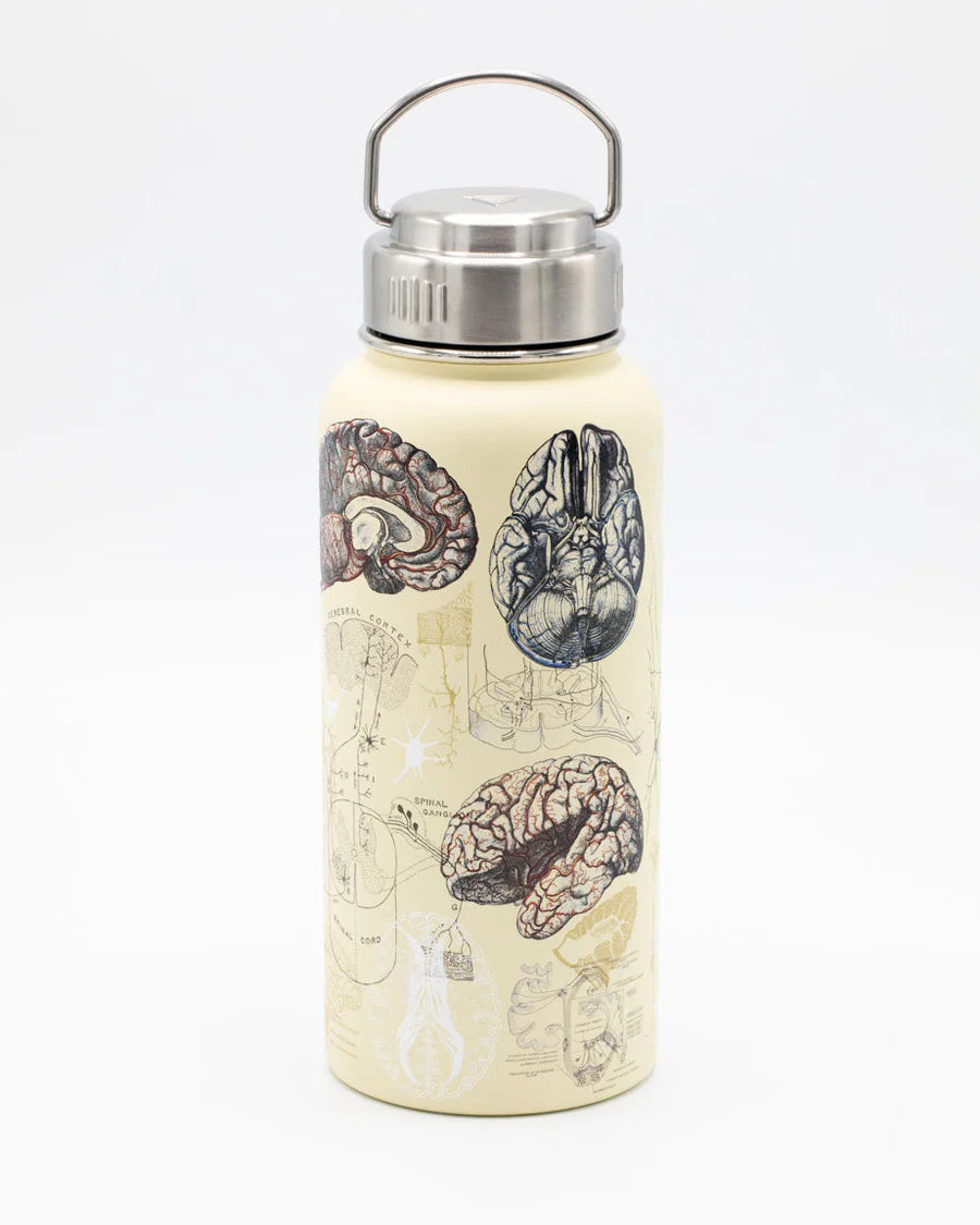 Drinking bottle "Brain & Neuroscience" (950ml)