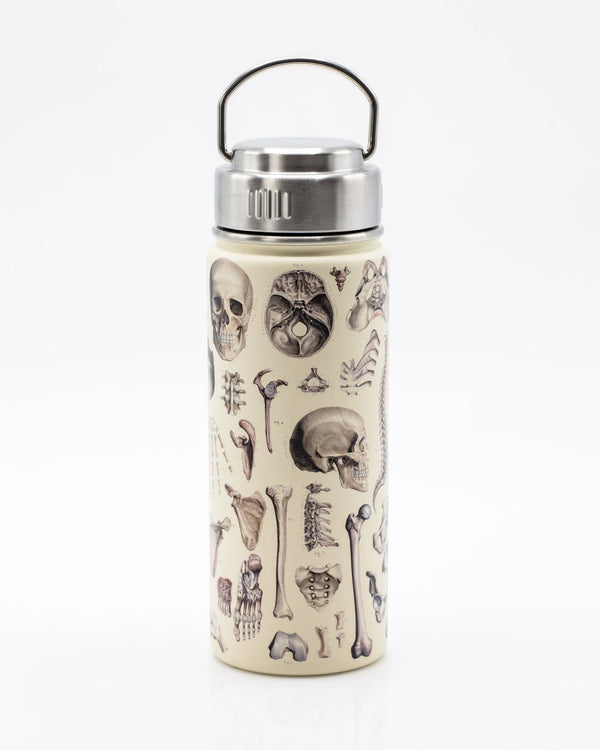 Drinking bottle/thermos "Great Beards of Science" (550ml)