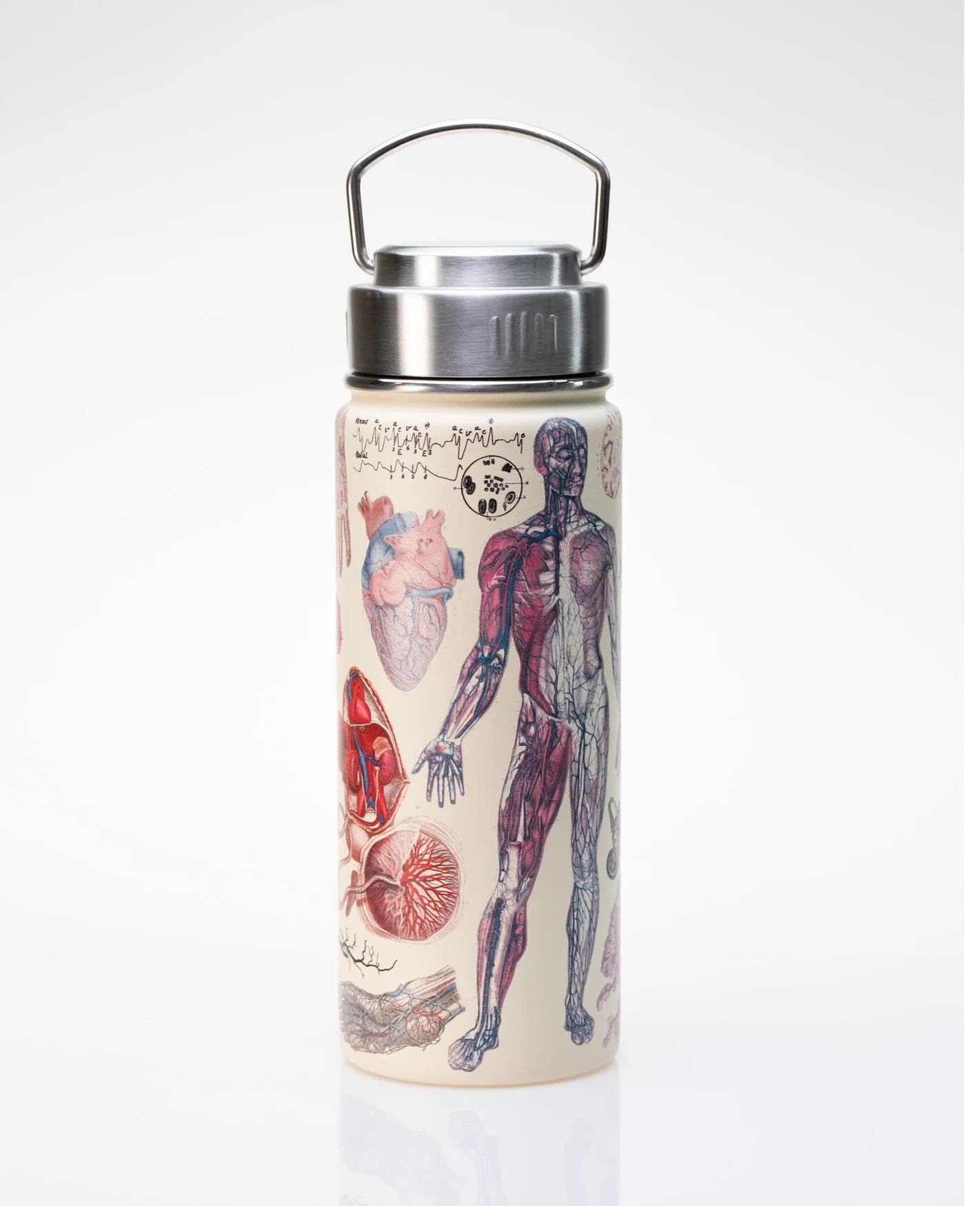 Drinking bottle/thermos "Great Beards of Science" (550ml)