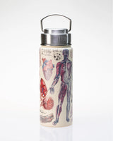 Drinkfles Vasculaire Anatomie (500ml)