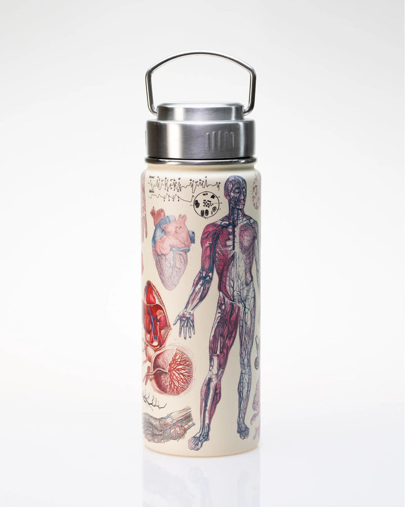 Drinkfles Vasculaire Anatomie (500ml)