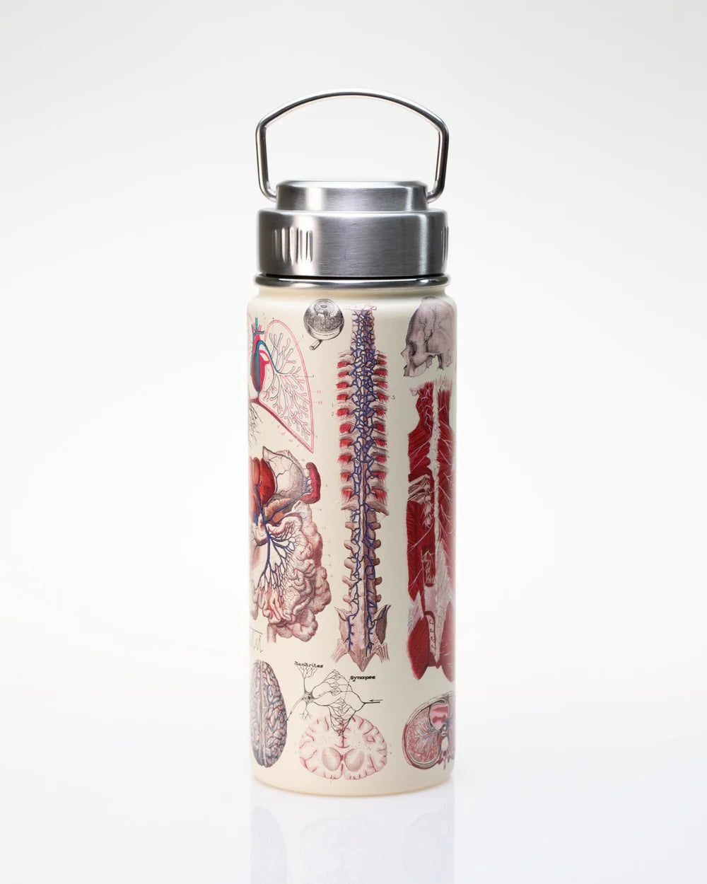 Drinking bottle/thermos "Great Beards of Science" (550ml)