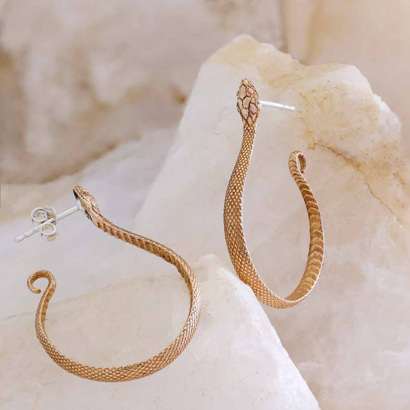 Zilveren studs met bronzen slang
