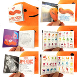 Knuffel appendix - Feel it in your gut
