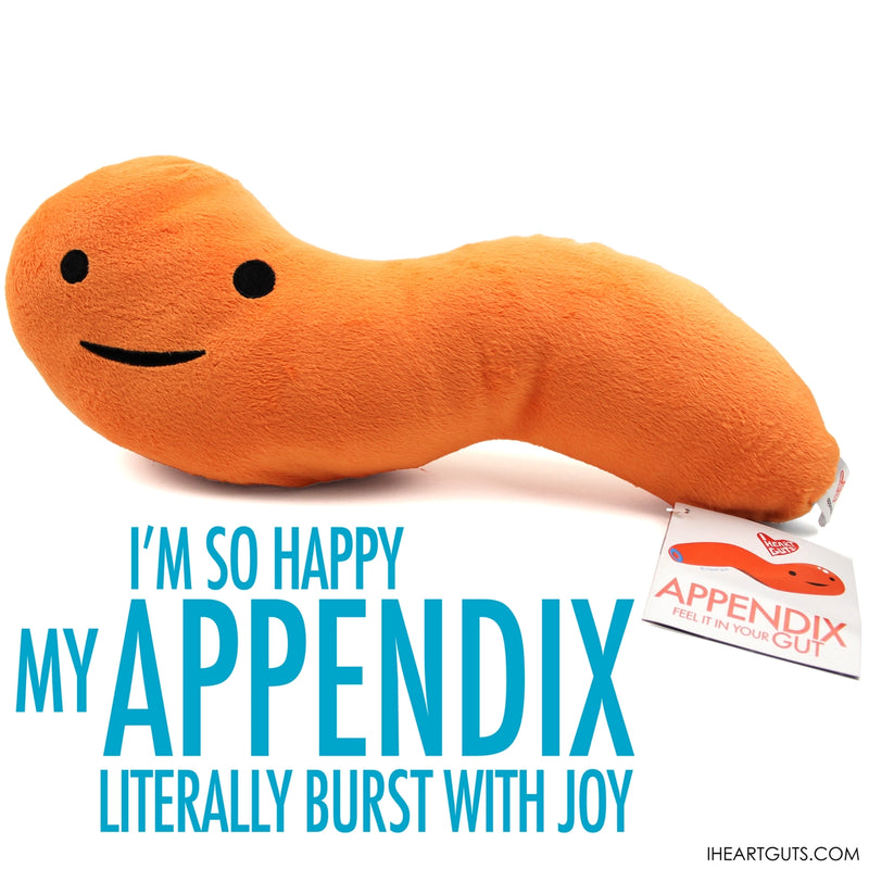 Knuffel appendix - Feel it in your gut
