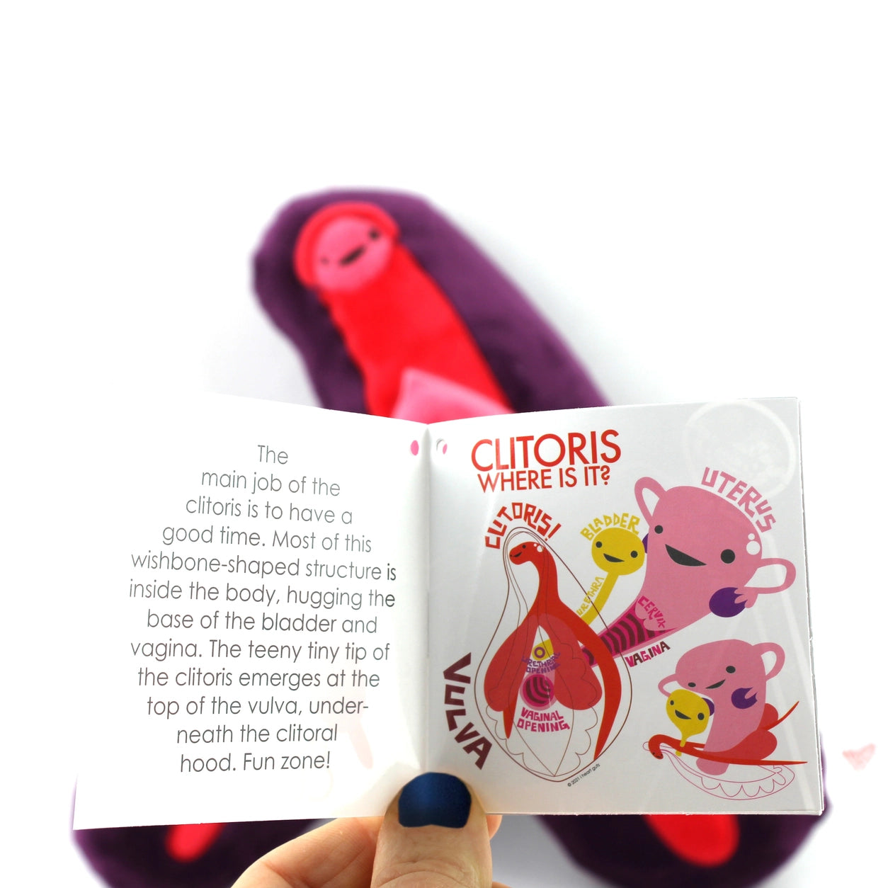 Knuffel clitoris - Enjoy Your Clitoris