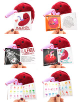 Knuffel placenta - Baby’s First Roommate