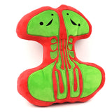 Knuffel sinussen - Breathing Buddies
