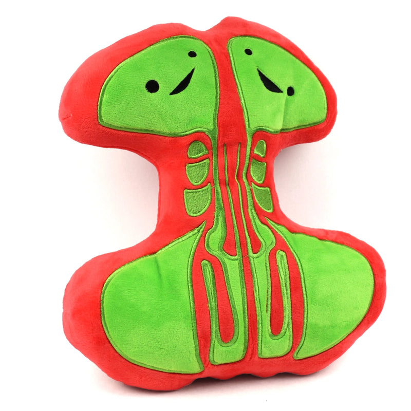 Knuffel sinussen - Breathing Buddies