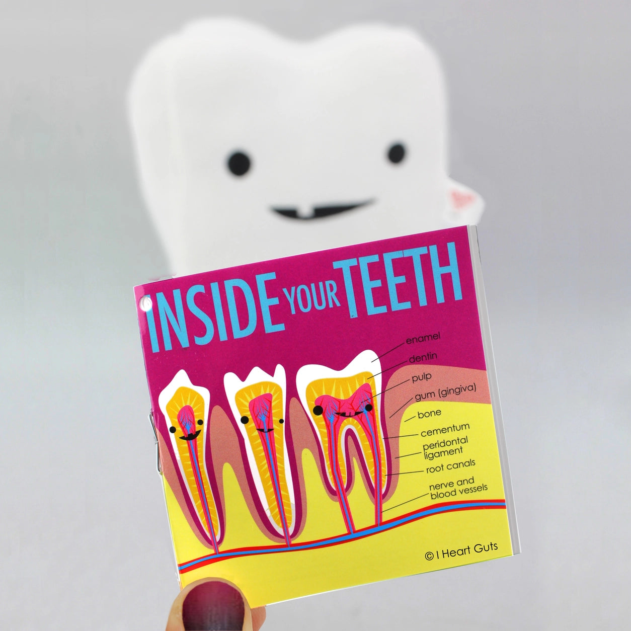 Dent en peluche - Vous ne pouvez pas manipuler la dent !