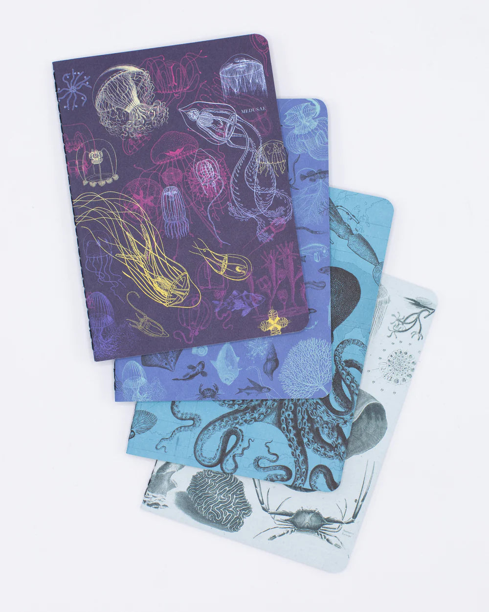 Set of pocket notebooks marine biology