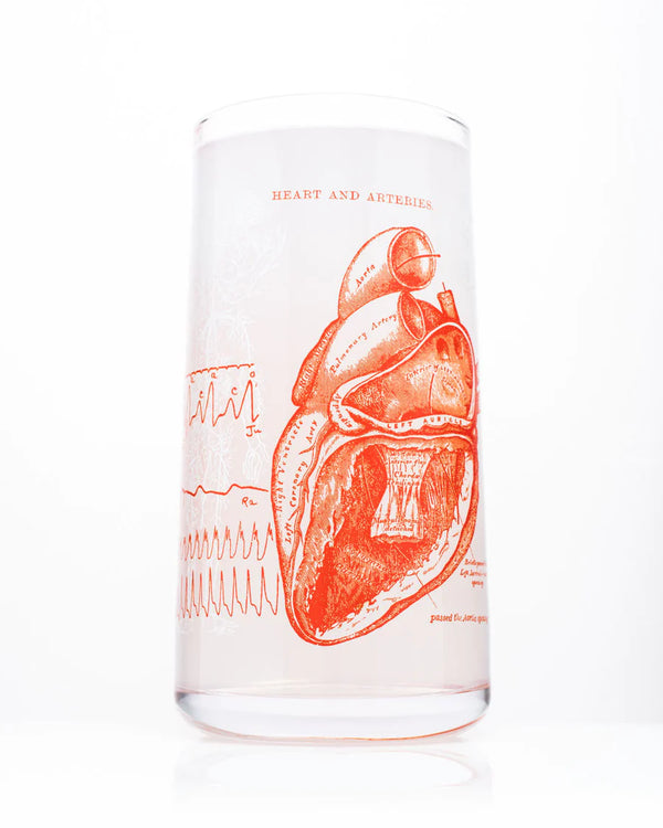Glas anatomisch hart