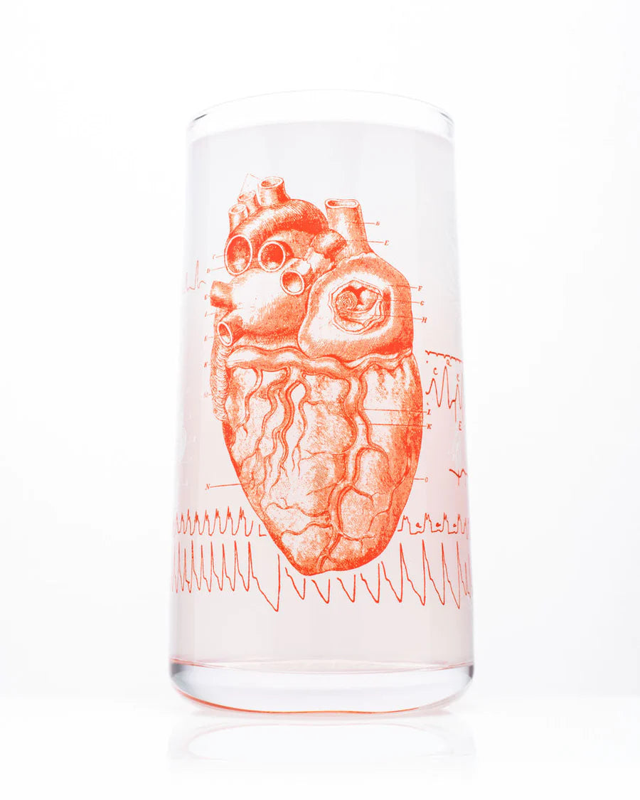 Glass anatomical heart