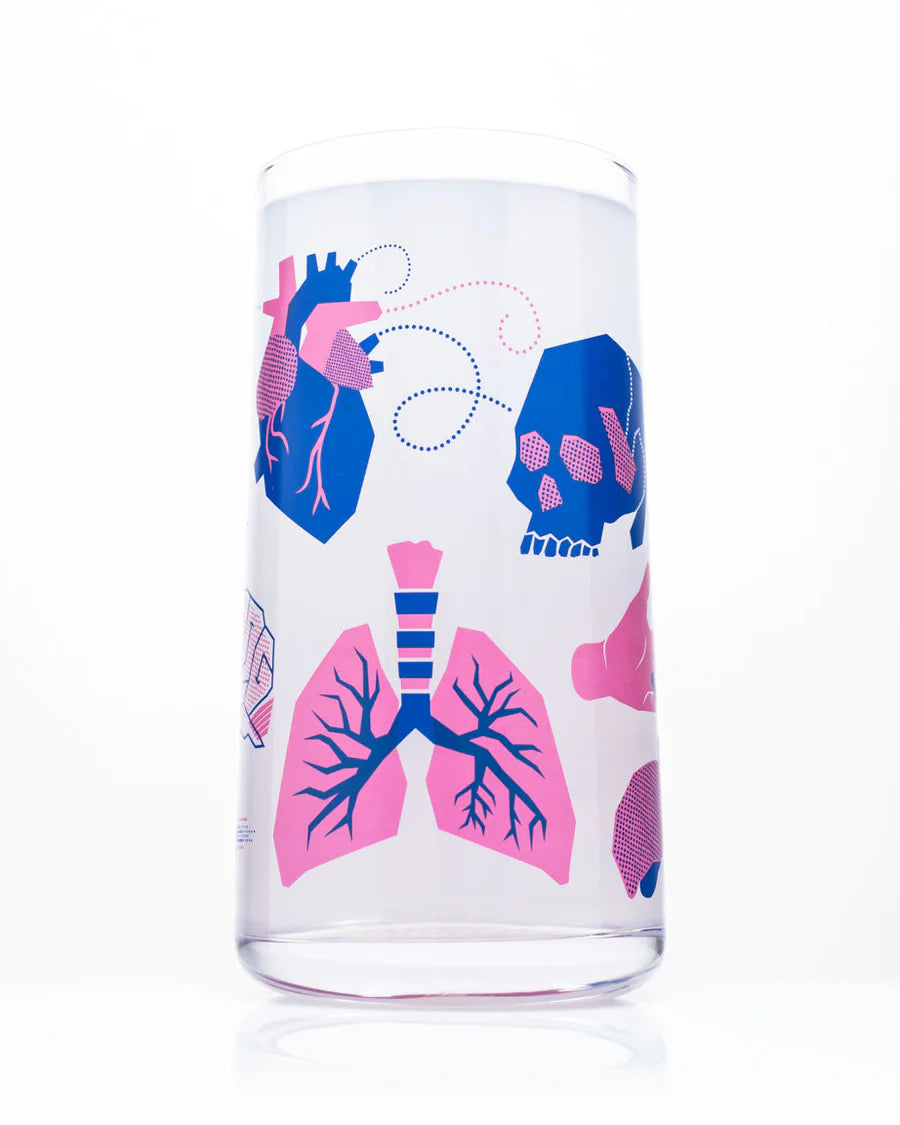 Glas retro anatomie