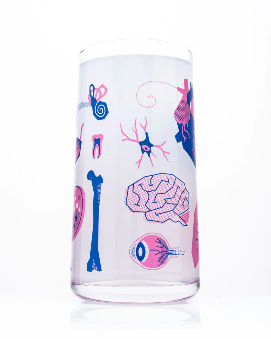 Glas retro anatomie