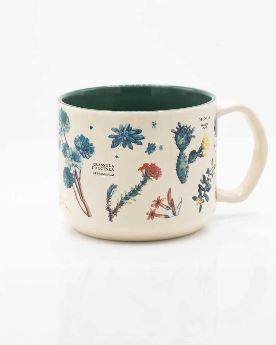 Mug Succulents