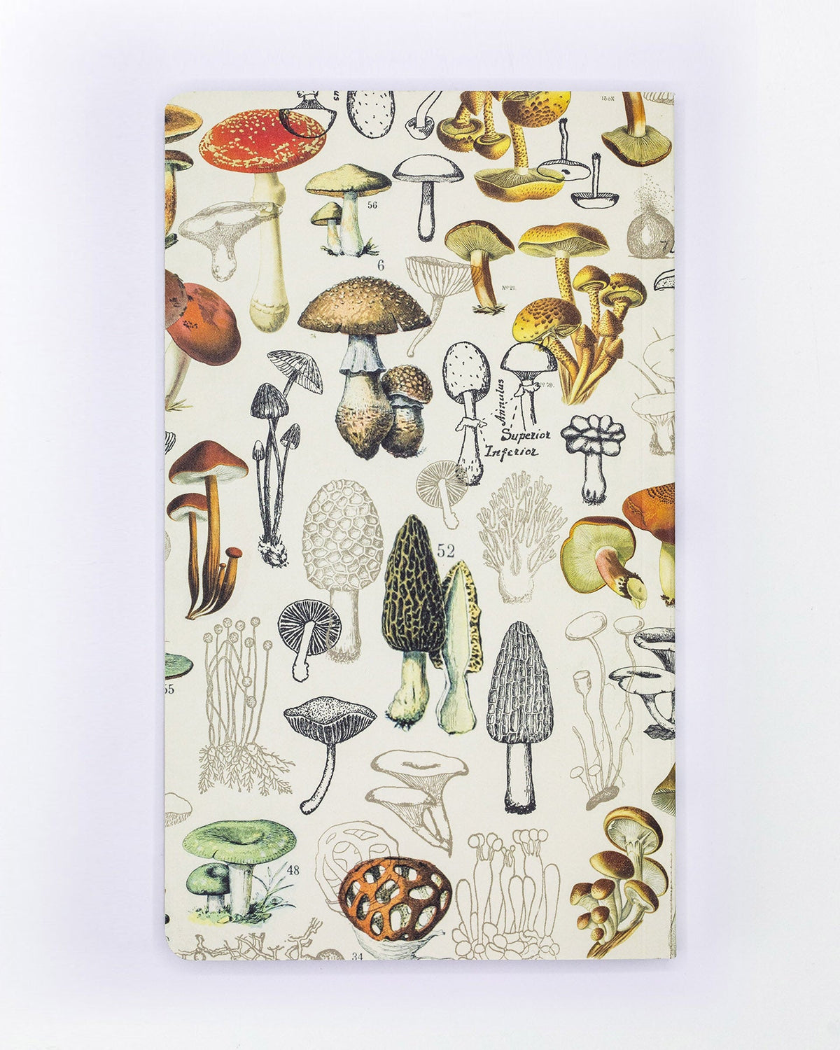Agenda paddenstoelen