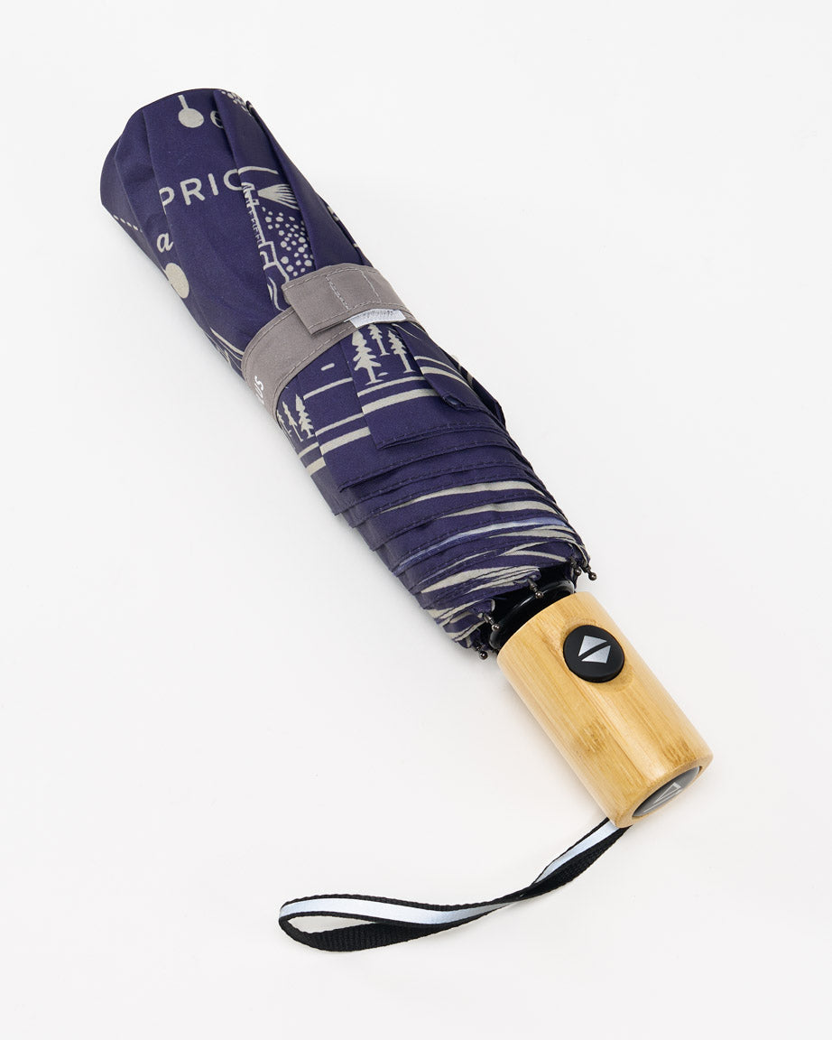 Umbrella Astronomy
