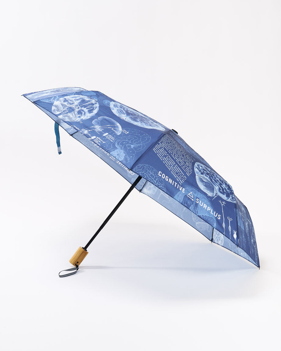 Umbrella Brain