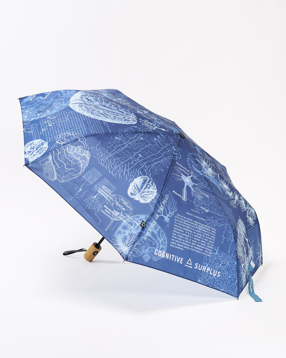 Umbrella Brain