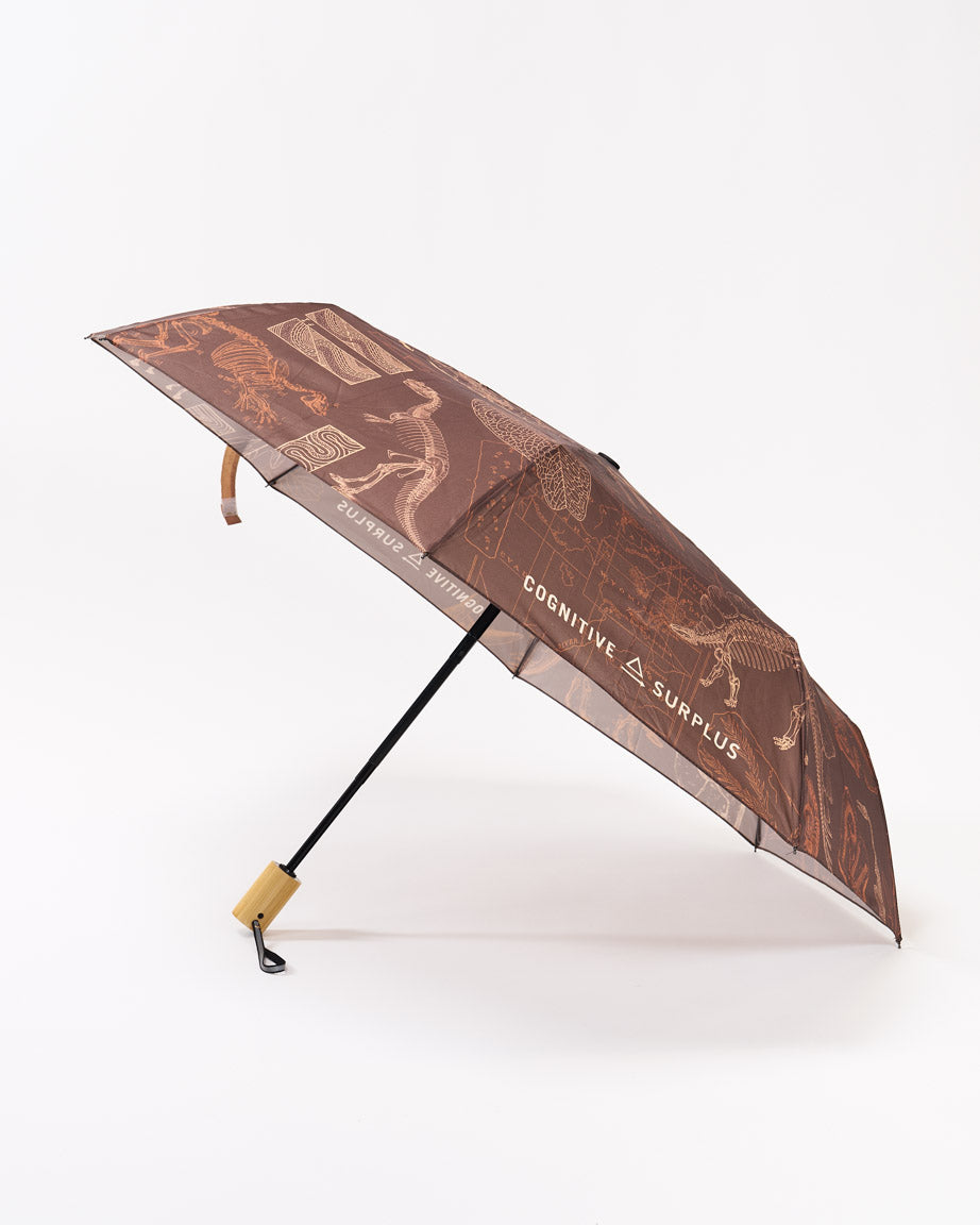 Umbrella Paleontology