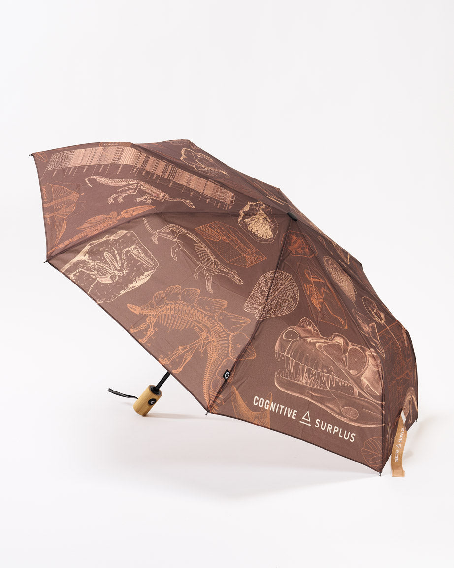 Umbrella Paleontology