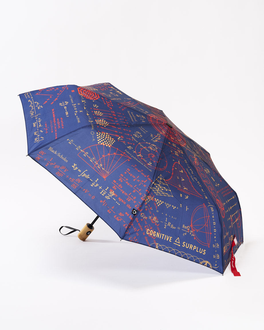 Umbrella Equations That Changed The World