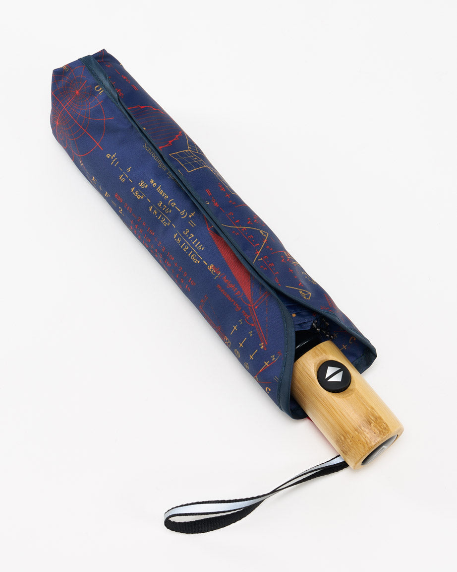 Umbrella Equations That Changed The World