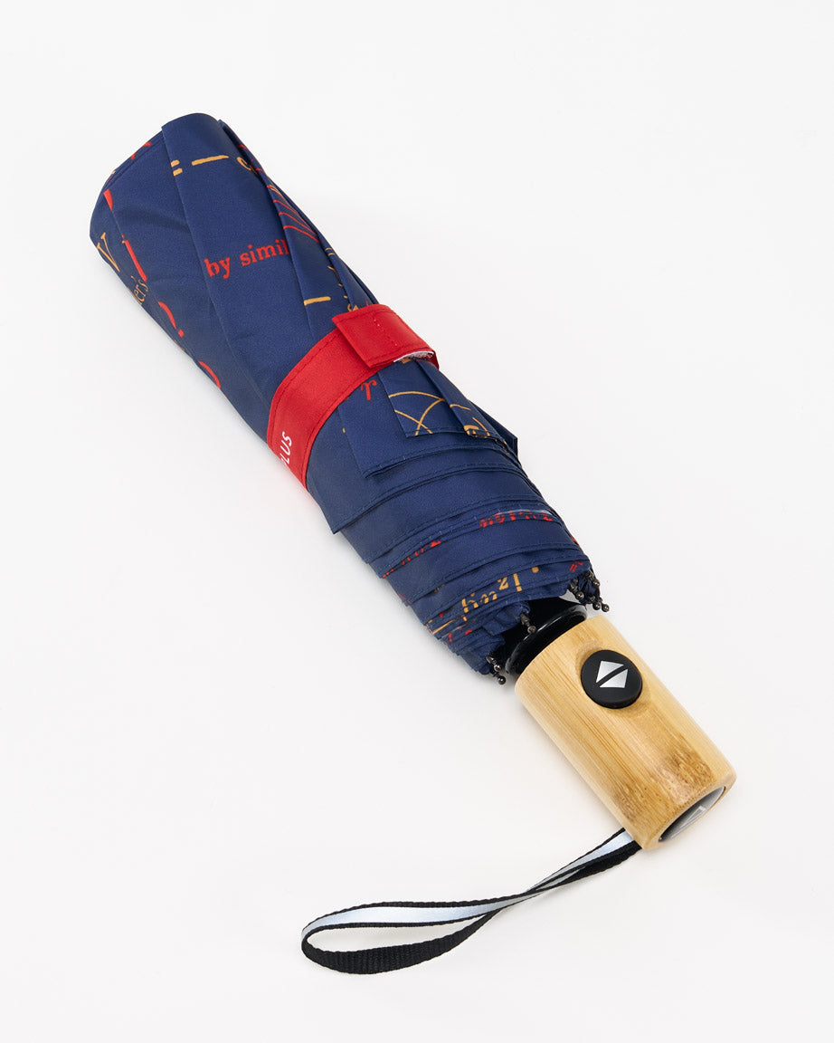 Umbrella Equations That Changed The World