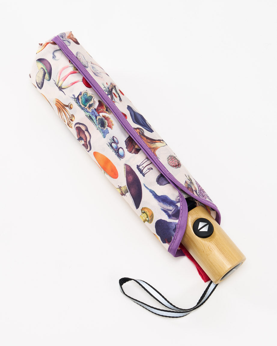 Umbrella Fabulous Fungi