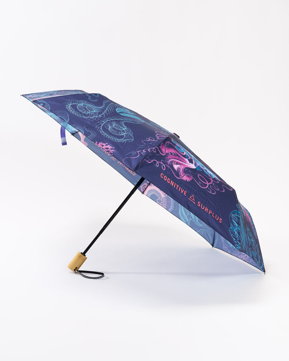 Umbrella Haeckel Jellyfish