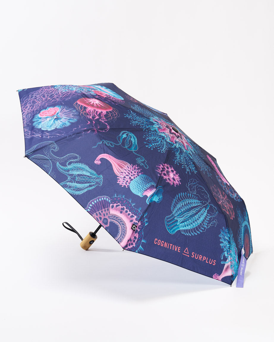 Umbrella Haeckel Jellyfish