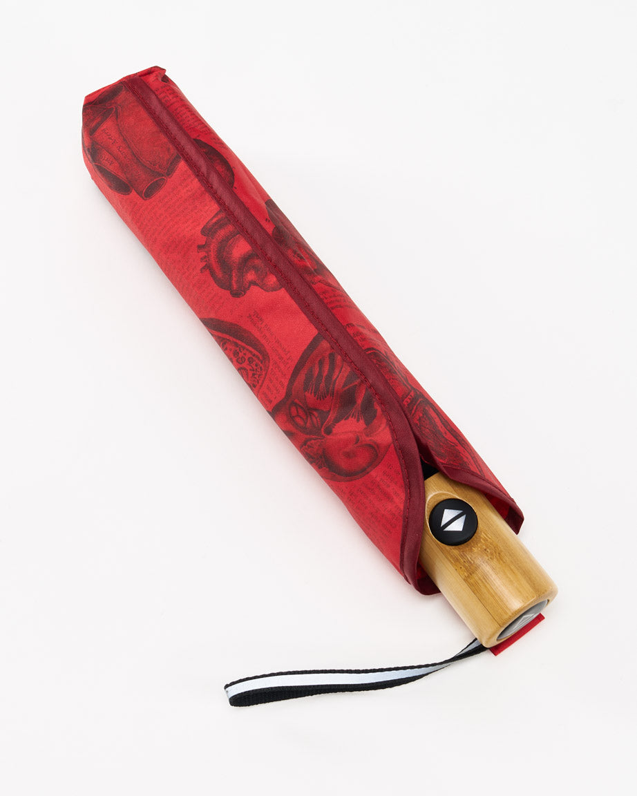 Paraplu Anatomisch Hart