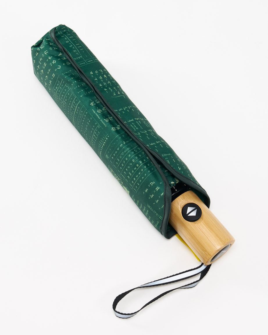 Paraplu Linguïstiek