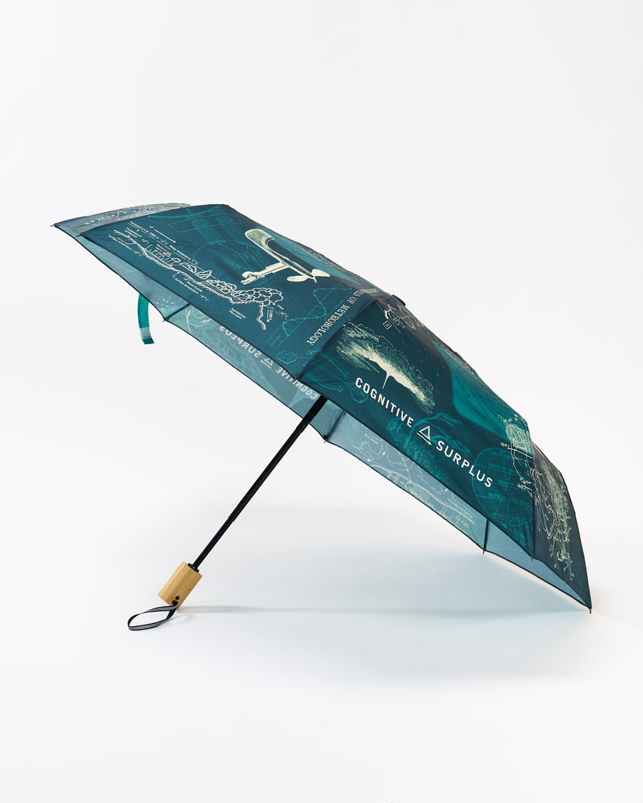 Umbrella Meteorology