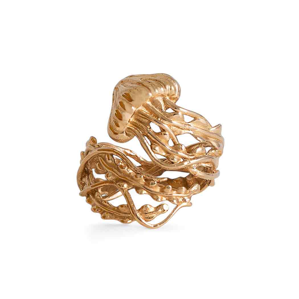 Bronze ring jellyfish