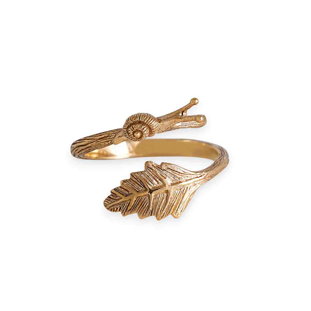 Bronze ring snail and leaf